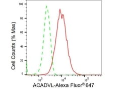 Invitrogen ACADVL Recombinant Rabbit Monoclonal Antibody (23GB3615), Invitrogen 100 &mu;L | Buy Online | Invitrogen&trade; | Fisher Scientific