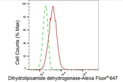 Invitrogen DLD Recombinant Rabbit Monoclonal Antibody (23GB3825), Invitrogen