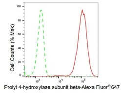 Invitrogen PDI Recombinant Rabbit Monoclonal Antibody (23GB2890), Invitrogen