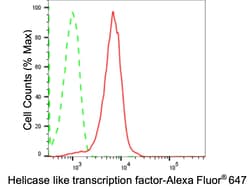 Invitrogen HLTF Recombinant Rabbit Monoclonal Antibody (23GB2485), Invitrogen