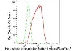 Invitrogen&trade;&nbsp;HSF1 Recombinant Rabbit Monoclonal Antibody (23GB2715)
