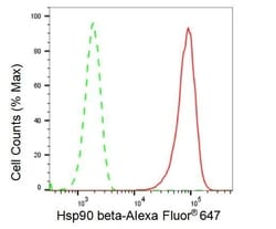 Invitrogen HSP90 beta Recombinant Rabbit Monoclonal Antibody (23GB2785),