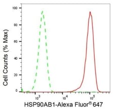 Invitrogen HSP90 beta Recombinant Rabbit Monoclonal Antibody (23GB2770),