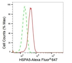 Invitrogen GRP78 Recombinant Rabbit Monoclonal Antibody (23GB2445), Invitrogen