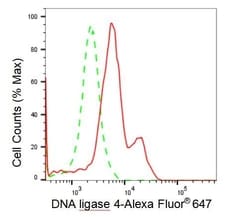 Invitrogen DNA Ligase IV Recombinant Rabbit Monoclonal Antibody (23GB2515),