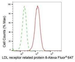 Invitrogen LRP8 Recombinant Rabbit Monoclonal Antibody (23GB2520), Invitrogen