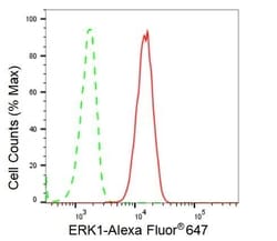 Invitrogen ERK1 Recombinant Rabbit Monoclonal Antibody (23GB2455), Invitrogen