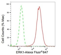 Invitrogen ERK1 Recombinant Rabbit Monoclonal Antibody (23GB2450), Invitrogen