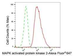 Invitrogen MAPKAPK2 Recombinant Rabbit Monoclonal Antibody (23GB2950),