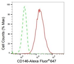 Invitrogen CD146 Recombinant Rabbit Monoclonal Antibody (23GB2705), Invitrogen