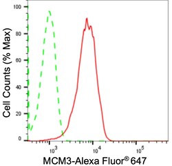 Invitrogen MCM3 Recombinant Rabbit Monoclonal Antibody (23GB2490), Invitrogen