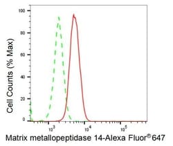Invitrogen MMP14 Recombinant Rabbit Monoclonal Antibody (23GB2695), Invitrogen