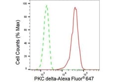 Invitrogen PKC delta Recombinant Rabbit Monoclonal Antibody (23GB2410),
