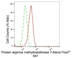 Invitrogen PRMT7 Recombinant Rabbit Monoclonal Antibody (23GB2380) 20 &mu;L | Buy Online | Invitrogen&trade; | Fisher Scientific