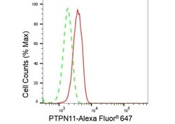 Invitrogen SHP2 Recombinant Rabbit Monoclonal Antibody (23GB2670), Invitrogen