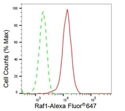 Invitrogen c-Raf Recombinant Rabbit Monoclonal Antibody (23GB2700), Invitrogen