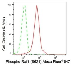 Invitrogen Phospho-c-Raf (Ser621) Recombinant Rabbit Monoclonal Antibody
