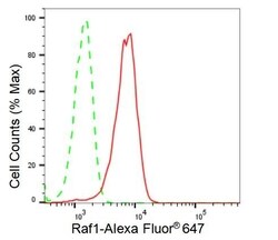 Invitrogen c-Raf Recombinant Rabbit Monoclonal Antibody (23GB2640), Invitrogen
