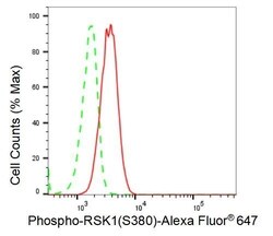 Invitrogen Phospho-RSK1 (Ser380) Recombinant Rabbit Monoclonal Antibody (23GB2425) 20 &mu;L | Buy Online | Invitrogen&trade; | Fisher Scientific