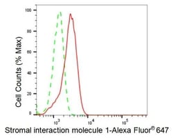 Invitrogen STIM1 Recombinant Rabbit Monoclonal Antibody (23GB2415), Invitrogen