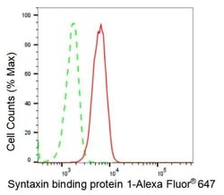 Invitrogen MUNC18 Recombinant Rabbit Monoclonal Antibody (23GB2570), Invitrogen