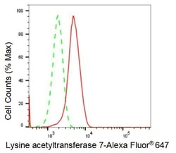 Invitrogen MYST2 Recombinant Rabbit Monoclonal Antibody (23GB2390), Invitrogen