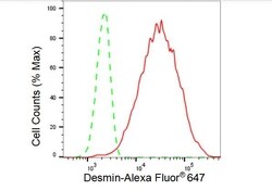 Invitrogen Desmin Recombinant Rabbit Monoclonal Antibody (23GB3120), Invitrogen 100 &mu;L | Buy Online | Invitrogen&trade; | Fisher Scientific