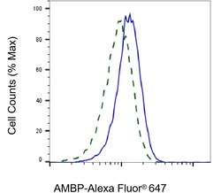 Invitrogen alpha-1 Microglobulin Recombinant Rabbit Monoclonal Antibody