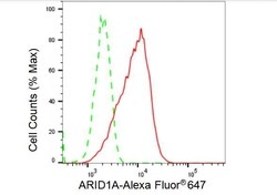 Invitrogen ARID1A Recombinant Rabbit Monoclonal Antibody (23GB3230), Invitrogen
