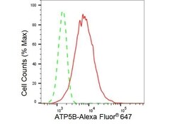Invitrogen ATP Synthase beta Recombinant Rabbit Monoclonal Antibody (23GB3255),