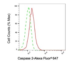 Invitrogen Caspase 2 Recombinant Rabbit Monoclonal Antibody (23GB3305) 20 &mu;L | Buy Online | Invitrogen&trade; | Fisher Scientific