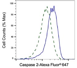 Invitrogen Caspase 2 Recombinant Rabbit Monoclonal Antibody (23GB3305) 20 &mu;L | Buy Online | Invitrogen&trade; | Fisher Scientific