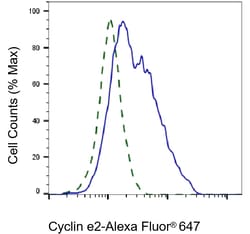 Invitrogen Cyclin E2 Recombinant Rabbit Monoclonal Antibody (23GB3535),
