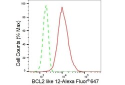 Invitrogen BCL2L12 Recombinant Rabbit Monoclonal Antibody (23GB3695), Invitrogen