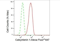 Invitrogen CLSTN1 Recombinant Rabbit Monoclonal Antibody (23GB3725), Invitrogen