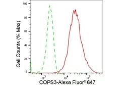 Invitrogen COPS3 Recombinant Rabbit Monoclonal Antibody (23GB3780) 20 &mu;L | Buy Online | Invitrogen&trade; | Fisher Scientific
