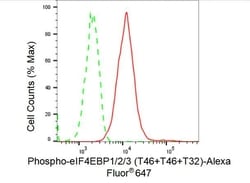 Invitrogen Phospho-4EBP1/2/3 (Thr46, Thr32) Recombinant Rabbit Monoclonal Antibody (23GB3850) 20 &mu;L | Buy Online | Invitrogen&trade; | Fisher Scientific