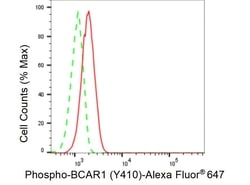 Invitrogen Phospho-p130Cas (Tyr410) Recombinant Rabbit Monoclonal Antibody
