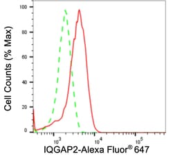 Invitrogen IQGAP2 Recombinant Rabbit Monoclonal Antibody (23GB4020), Invitrogen