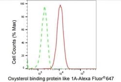 Invitrogen ORP1 Recombinant Rabbit Monoclonal Antibody (23GB4065), Invitrogen
