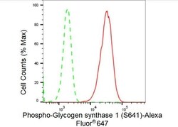 Invitrogen Phospho-GYS1 (Ser641) Recombinant Rabbit Monoclonal Antibody (23GB4070), Invitrogen 20 &mu;L | Buy Online | Invitrogen&trade; | Fisher Scientific