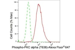 Invitrogen Phospho-PKC alpha (Thr638) Recombinant Rabbit Monoclonal Antibody
