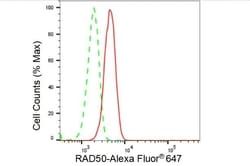 Invitrogen RAD50 Recombinant Rabbit Monoclonal Antibody (23GB4115), Invitrogen