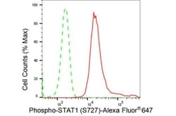 Invitrogen Phospho-STAT1 (Ser727) Recombinant Rabbit Monoclonal Antibody