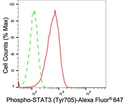 Invitrogen Phospho-STAT3 (Tyr705) Recombinant Rabbit Monoclonal Antibody (23GB4205) 20 &mu;L | Buy Online | Invitrogen&trade; | Fisher Scientific