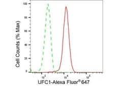 Invitrogen UFC1 Recombinant Rabbit Monoclonal Antibody (23GB4245), Invitrogen