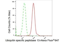 Invitrogen USP13 Recombinant Rabbit Monoclonal Antibody (23GB4250) 100 &mu;L | Buy Online | Invitrogen&trade; | Fisher Scientific