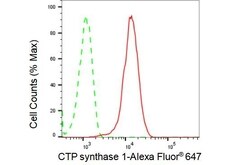 Invitrogen CTPS Recombinant Rabbit Monoclonal Antibody (23GB1685), Invitrogen