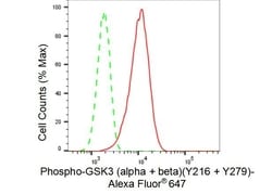 Invitrogen Phospho-GSK3 alpha/beta (Tyr216, Tyr279) Recombinant Rabbit