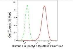 Invitrogen H3K18ac Recombinant Rabbit Monoclonal Antibody (23GB4465) 20 &mu;L | Buy Online | Invitrogen&trade; | Fisher Scientific